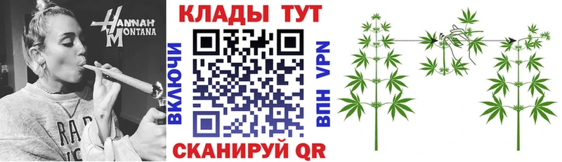 Купить наркотик аптеки Городец гидра ссылки Меф Конопля Кокаин LSD-25