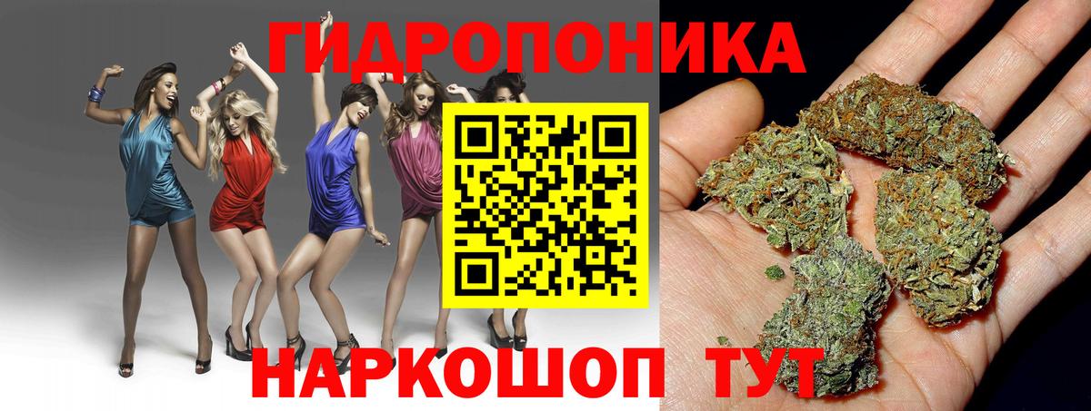 Конопля SATIVA & INDICA  Марихуана VHQ  Городец  Бошки марихуана VHQ  Вход с VPN 